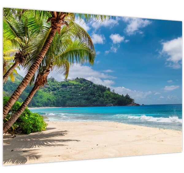 Tablou - Caraibe (70x50 cm)