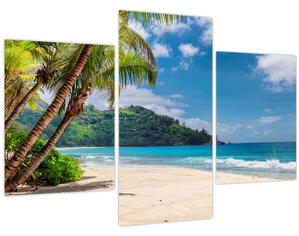 Tablou - Caraibe (90x60 cm)