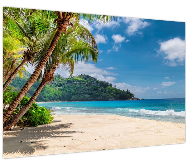 Tablou - Caraibe (90x60 cm)