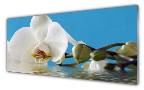 Tablou pe sticla Florale flori Alb Verde Albastru