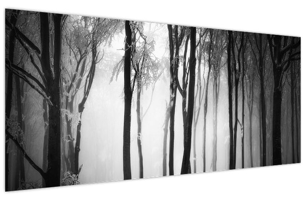 Tablou - Lup în pădurea întunecată (120x50 cm)