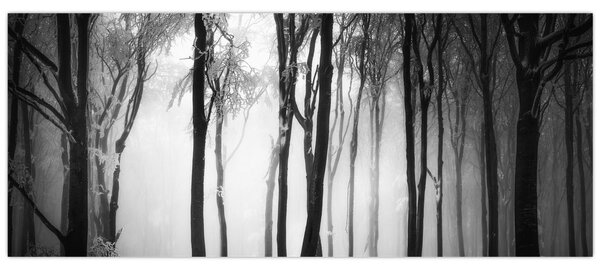 Tablou - Lup în pădurea întunecată (120x50 cm)