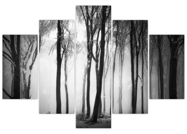 Tablou - Lup în pădurea întunecată (150x105 cm)