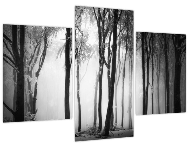 Tablou - Lup în pădurea întunecată (90x60 cm)