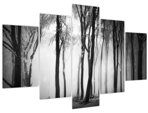 Tablou - Lup în pădurea întunecată (150x105 cm)