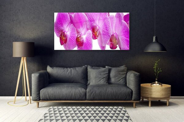 Tablou pe sticla Flori roz Floral