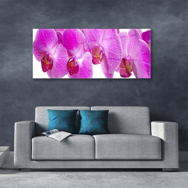 Tablou pe sticla Flori roz Floral