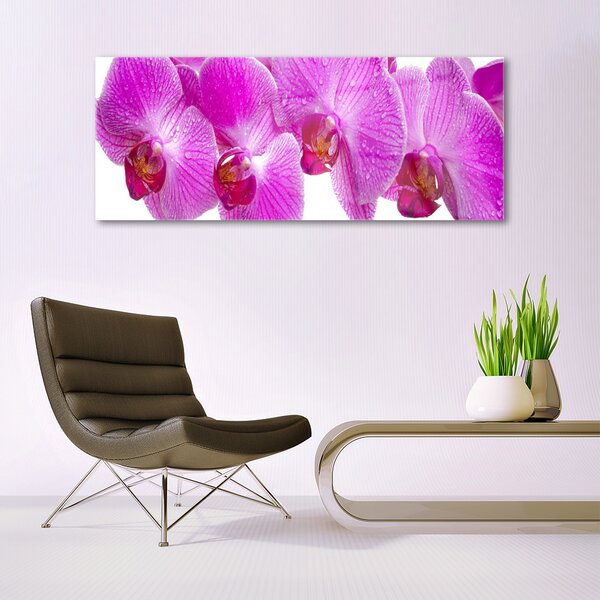 Tablou pe sticla Flori roz Floral