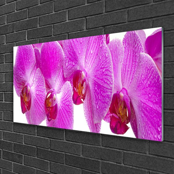 Tablou pe sticla Flori roz Floral