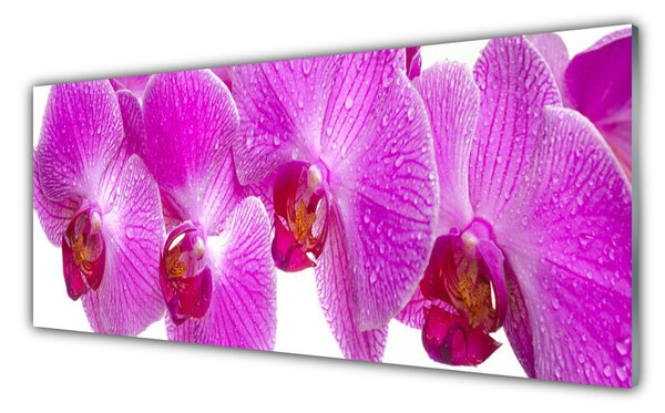 Tablou pe sticla Flori roz Floral