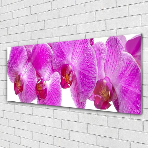Tablou pe sticla Flori roz Floral