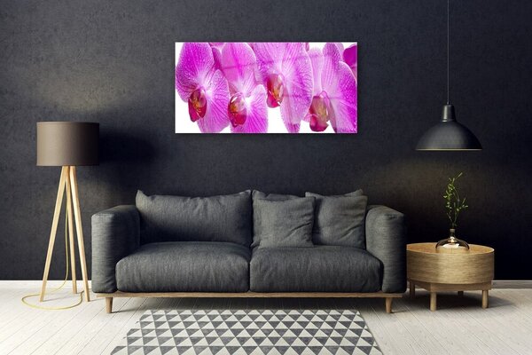 Tablou pe sticla Flori roz Floral
