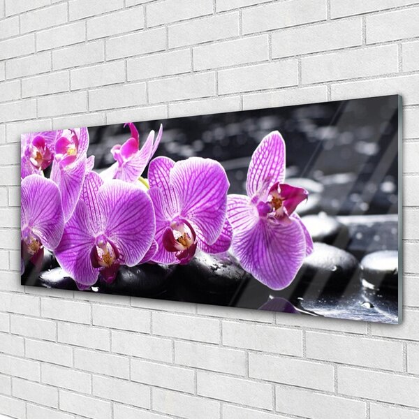 Tablou pe sticla Pietre florale flori violet negru