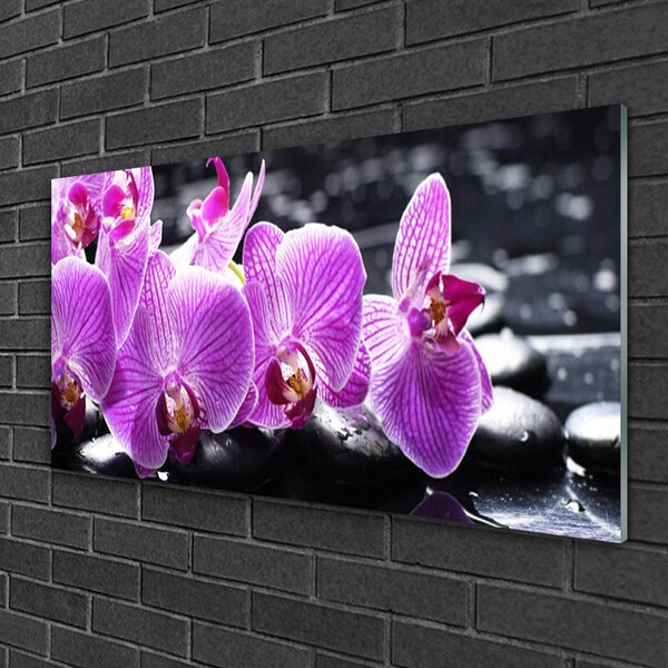 Tablou pe sticla Pietre florale flori violet negru