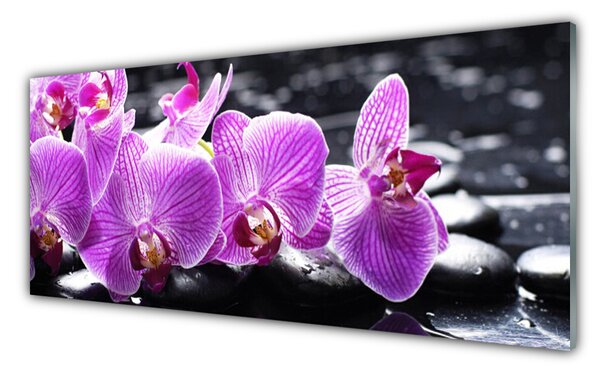Tablou pe sticla Pietre florale flori violet negru
