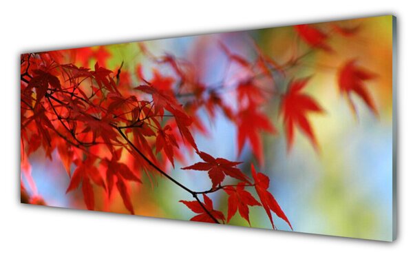 Tablou pe sticla Frunze Natura Red