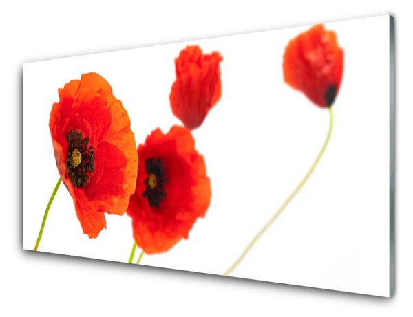 Panou sticla bucatarie Flori Floral Roșu Verde