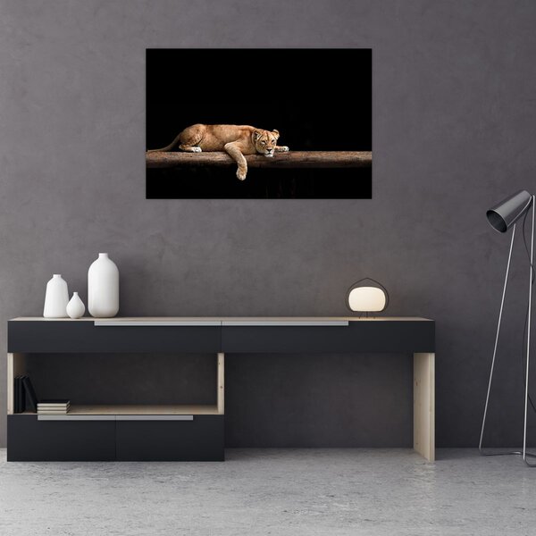 Tablou - Lioness (90x60 cm)