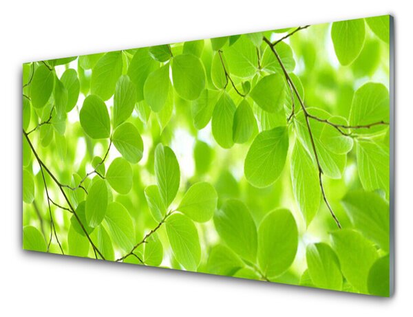 Panou sticla bucatarie Frunze Natura verde