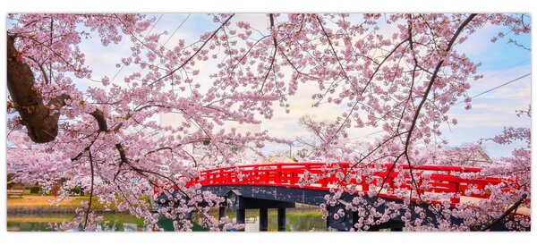 Tablou - Hirosaki, Japonia (120x50 cm)