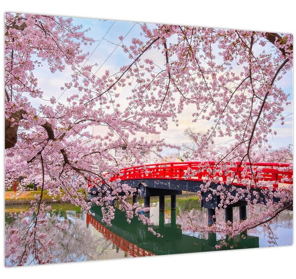 Tablou - Hirosaki, Japonia (70x50 cm)