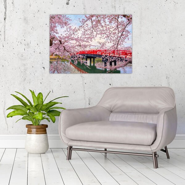 Tablou - Hirosaki, Japonia (70x50 cm)