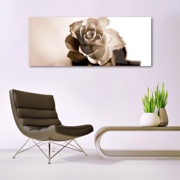 Tablou pe sticla Rose Floral Sepia