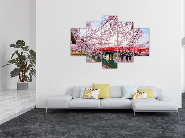 Tablou - Hirosaki, Japonia (150x105 cm)