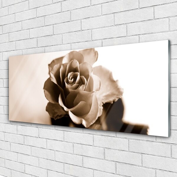 Tablou pe sticla Rose Floral Sepia