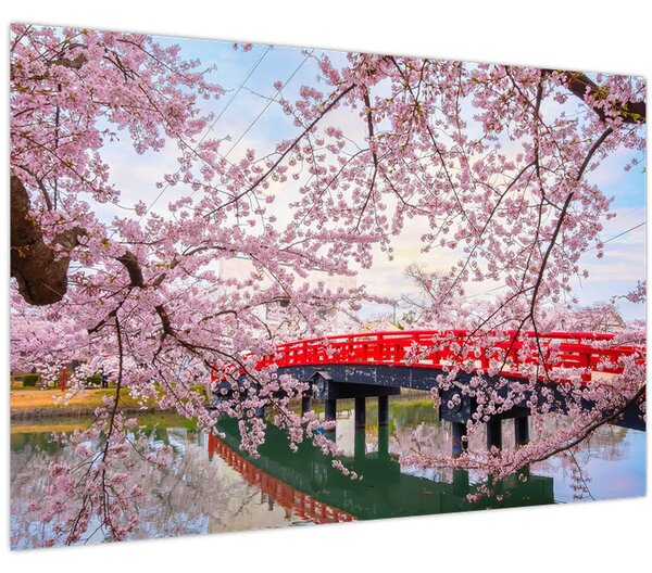 Tablou - Hirosaki, Japonia (90x60 cm)