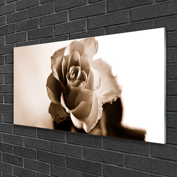 Tablou pe sticla Rose Floral Sepia