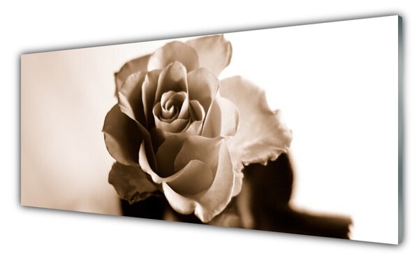 Tablou pe sticla Rose Floral Sepia