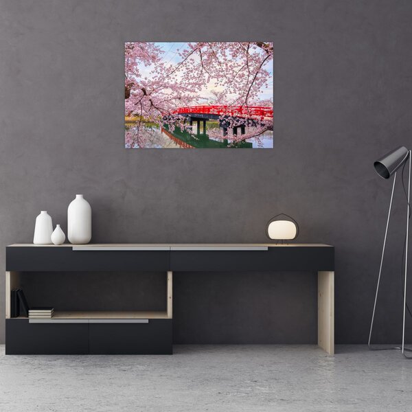 Tablou - Hirosaki, Japonia (70x50 cm)