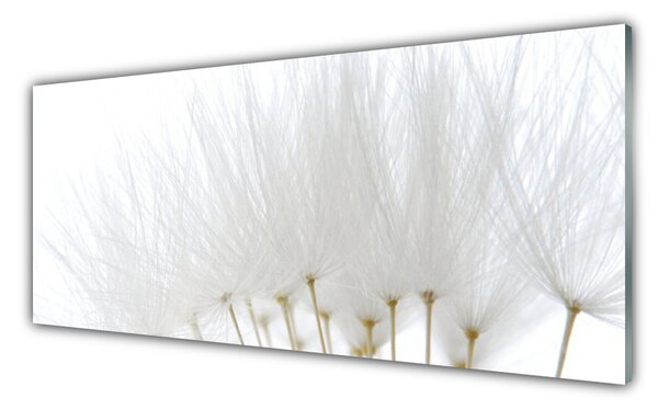 Tablou pe sticla Flori Floral alb