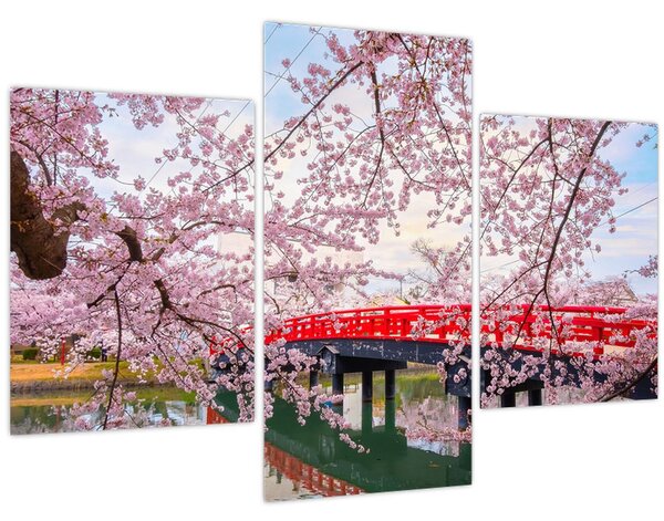 Tablou - Hirosaki, Japonia (90x60 cm)