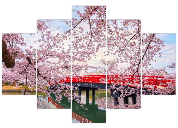 Tablou - Hirosaki, Japonia (150x105 cm)