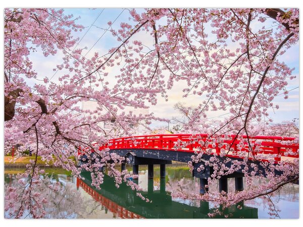 Tablou - Hirosaki, Japonia (70x50 cm)