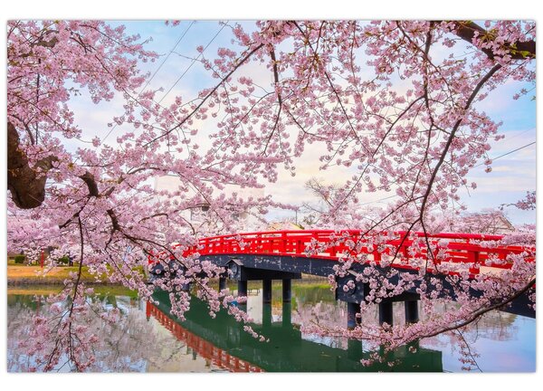 Tablou - Hirosaki, Japonia (90x60 cm)