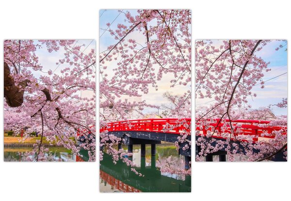 Tablou - Hirosaki, Japonia (90x60 cm)