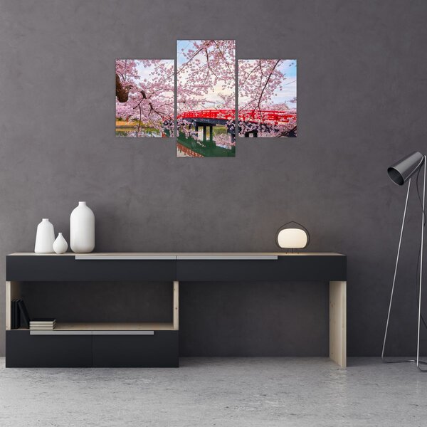 Tablou - Hirosaki, Japonia (90x60 cm)