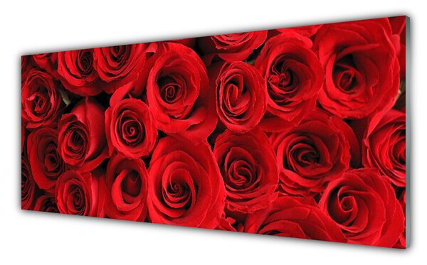 Tablou pe sticla Trandafiri Floral Red