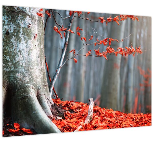 Tablou - Toamna (70x50 cm)