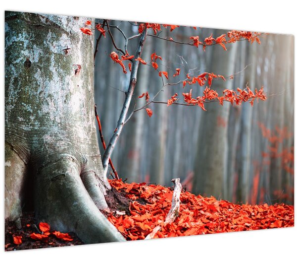 Tablou - Toamna (90x60 cm)
