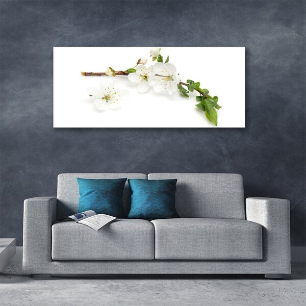 Tablou pe sticla Flower Branch Natura Alb Brun Verde
