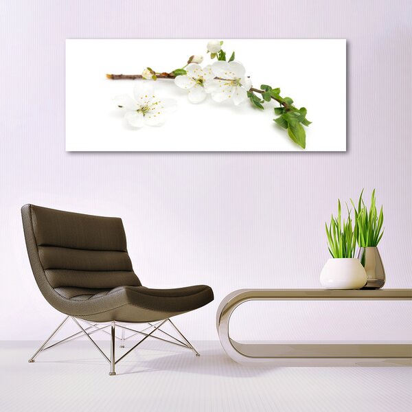 Tablou pe sticla Flower Branch Natura Alb Brun Verde