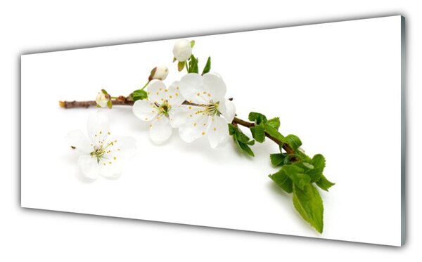 Tablou pe sticla Flower Branch Natura Alb Brun Verde
