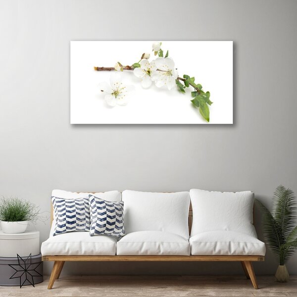 Tablou pe sticla Flower Branch Natura Alb Brun Verde