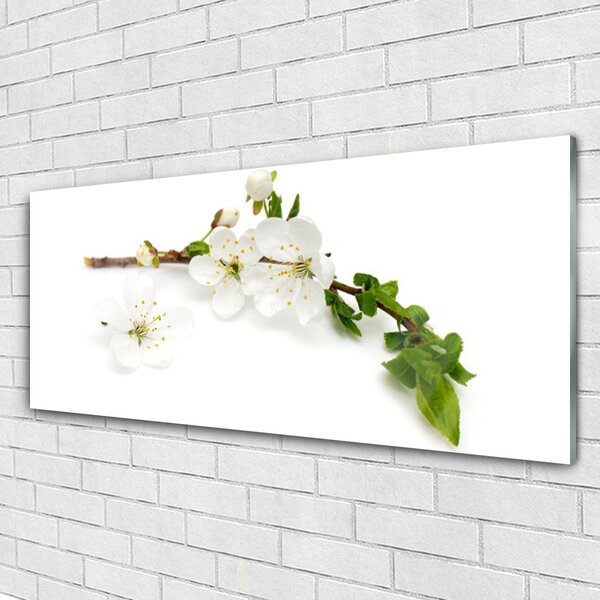 Tablou pe sticla Flower Branch Natura Alb Brun Verde