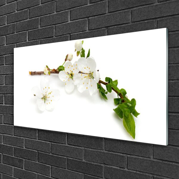 Tablou pe sticla Flower Branch Natura Alb Brun Verde