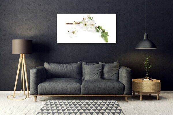 Tablou pe sticla Flower Branch Natura Alb Brun Verde